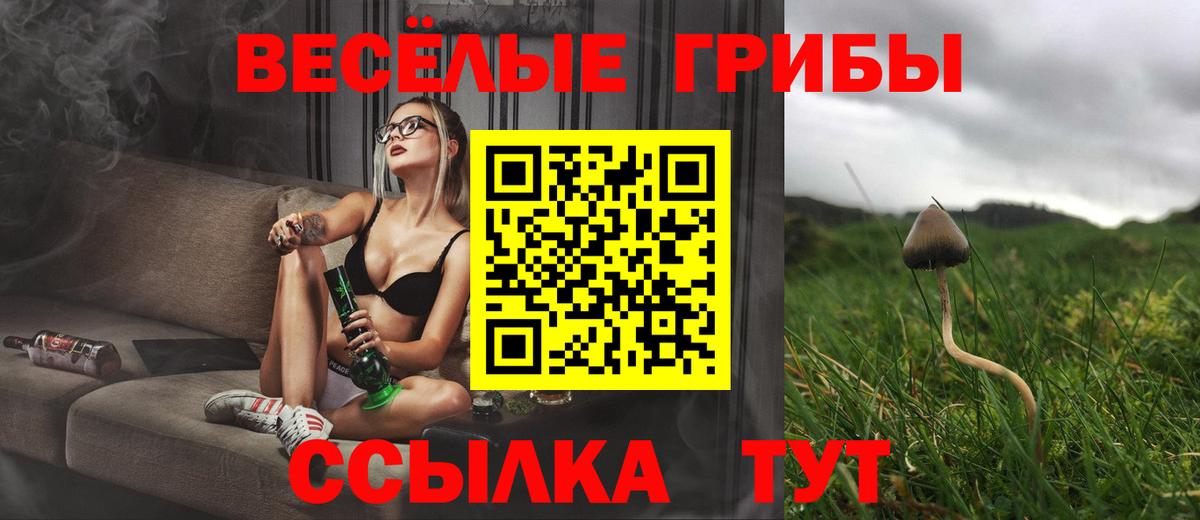 Псилоцибиновые грибы мицелий Россошь
