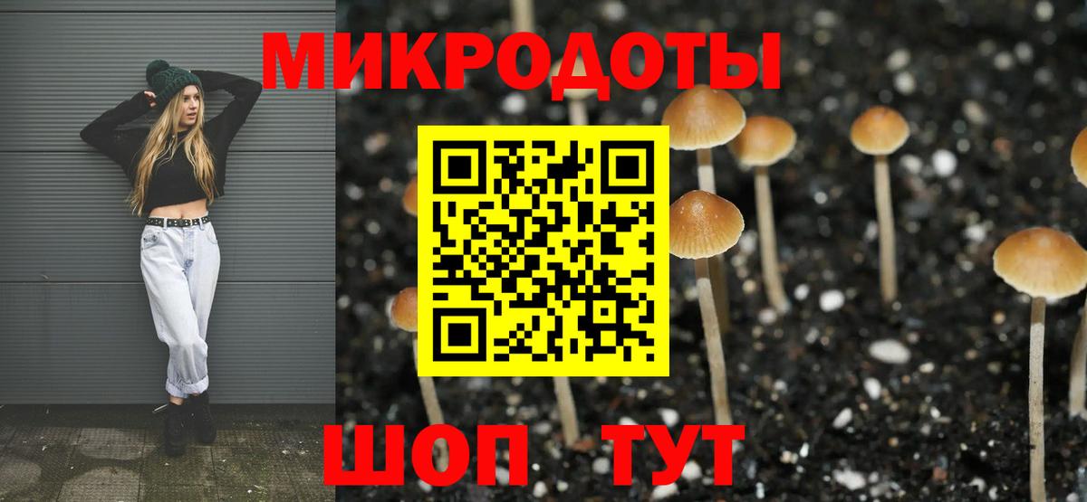 наркошоп  Вход с VPN  Россошь  Псилоцибиновые грибы Magic Shrooms 